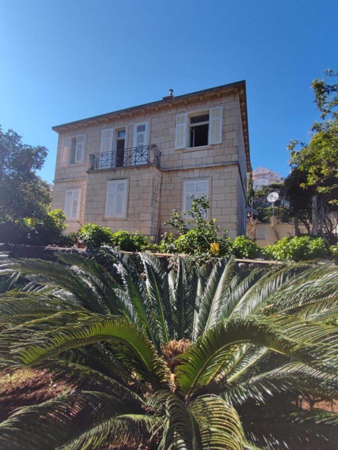 Villa Arancia Dubrovník Exteriér fotografie
