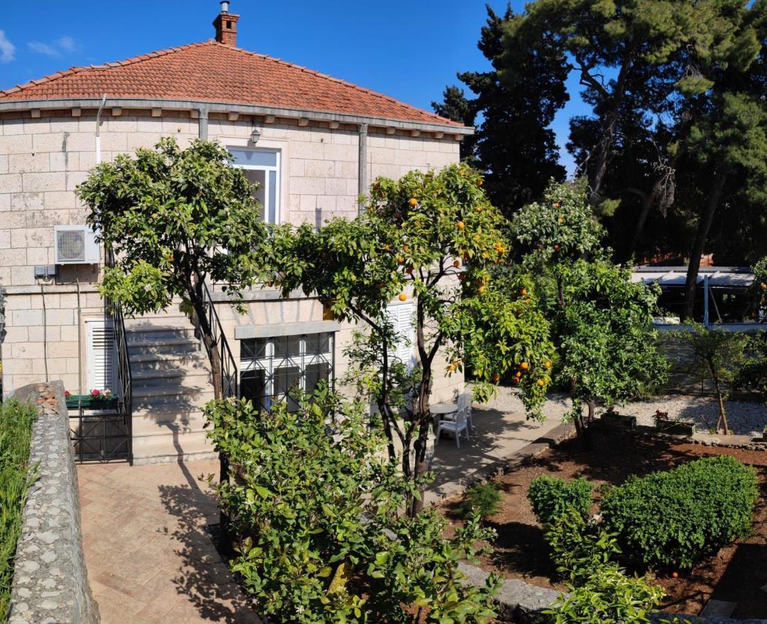Villa Arancia Dubrovník Exteriér fotografie