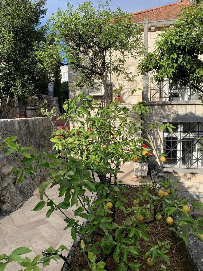 Villa Arancia Dubrovník Exteriér fotografie